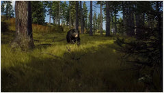 Way of The Hunter Hunting Season One / PS5 / Playstation 5 - GD Games