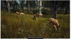 Way of The Hunter Hunting Season One / PS5 / Playstation 5 - GD Games