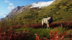 Way of the Hunter: Wild Expeditions / PS5 / Playstation 5 - GD Games