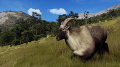 Way of the Hunter: Wild Expeditions / PS5 / Playstation 5 - GD Games