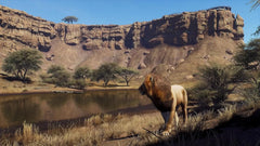 Way of the Hunter: Wild Expeditions / PS5 / Playstation 5 - GD Games
