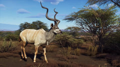 Way of the Hunter: Wild Expeditions / PS5 / Playstation 5 - GD Games