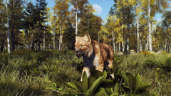 Way of the Hunter: Wild Expeditions / PS5 / Playstation 5 - GD Games