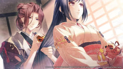 Winter's Wish: Spirits of Edo - Nintendo Switch - GD Games
