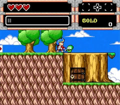 Wonder Boy Collection - Nintendo Switch - GD Games