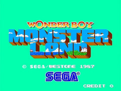 Wonder Boy Collection / PS4 / Playstation 4 - GD Games