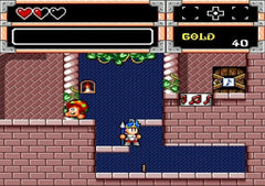 Wonder Boy Collection / PS4 / Playstation 4 - GD Games